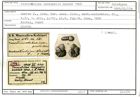 Karteikarte zum Holotyp von Truncatulina inaequalis Karrer, 1868